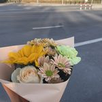 橙子的夏天