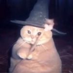 魔力茉莉咻