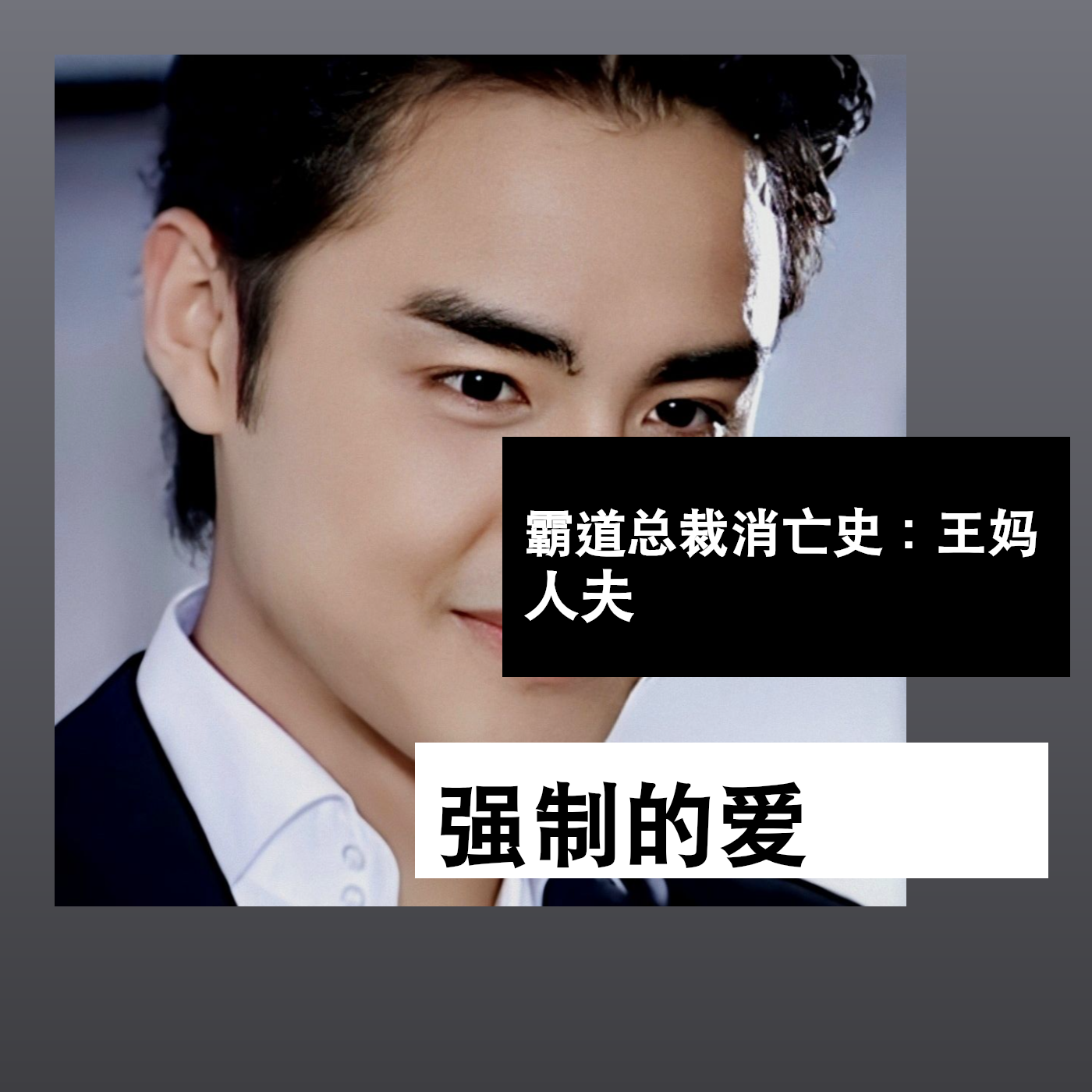 霸道总裁消亡史：王妈、人夫、强制的爱 episode artwork