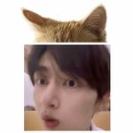 有在努力治愈自己啊