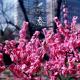 春-优斯迪吧vol.02
