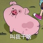 宋慧乔的哥哥