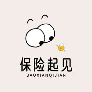 保险起见