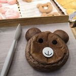 宠物猫