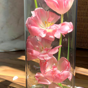 VOL424.我不能爱上海和天津,因为我心中有个北平。