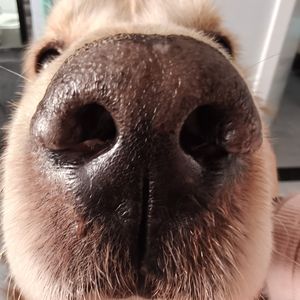 遵纪又守法的人