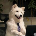 AAA鱼锅利多卡因批发