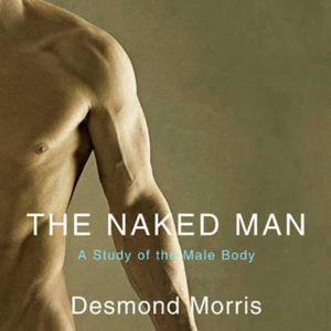 4.焦虑的“裸男”:谈谈男性身体与性别困惑