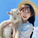 甜橙味奶啵