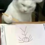 柒佰柒拾柒