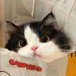 你是我唯一方向