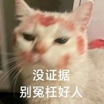 里脊夹肉饼