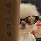 一山更比一山高女士