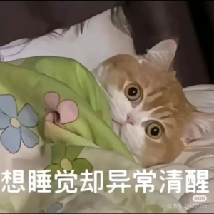 《骆驼祥子》另一面：被时代碾碎的人，也想干净活着