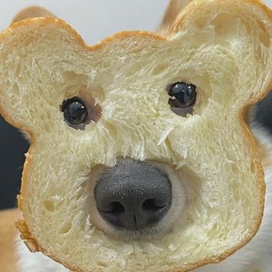 在下呆