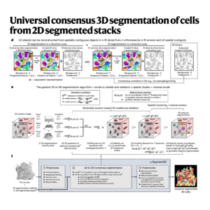 273-u-Segment3D: Universal 2D-to-3D Cell Segmentation