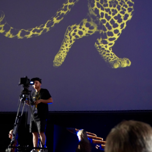 102. 为什么说洛迦诺是比三大还酷的电影节？