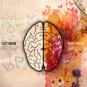 Vol.14 理性vs感性,人类如何做出高质量决策?