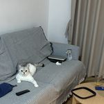 一石