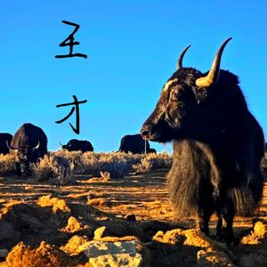 Vol.57王才的田野：读《我的皮村兄妹》丨7.万华山