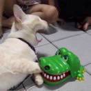 小方不是圆的呀