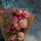 7_pWen