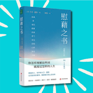 127 一本能重塑你人生的好书！｜《慰藉之书》