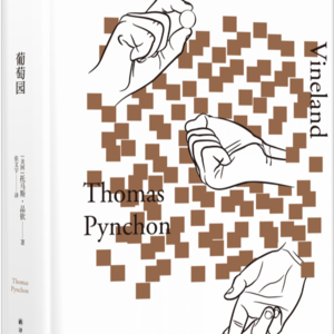 8.但汉松谈《一战再战》和《葡萄园》:PTA真懂品钦