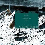 穿过夏日的热浪，与Cicada〈走入有雾的森林〉