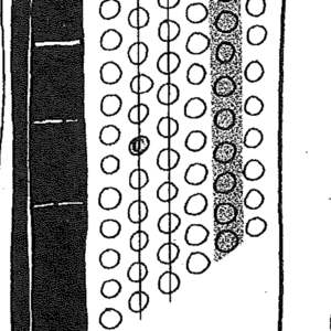 音乐留学生的那些事儿(德国篇)