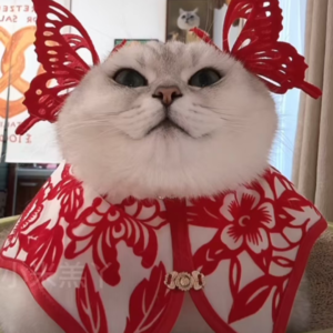 资本市场舆情解读【1月13日】