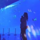 糯米团子sp