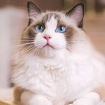 今天提钱退休了吗