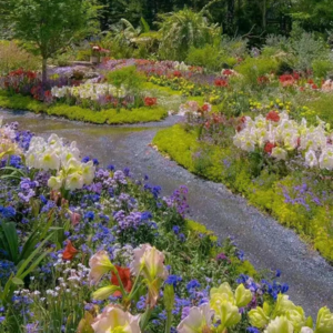 VOL177.我昨天晚上的梦：中国台湾各种意义上的统一回归，以及莫言老师指导我写作。