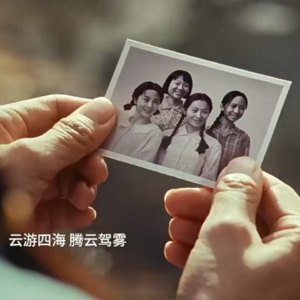 《出走的决心》——中式婚姻的真实写照