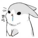 一只大碗_5T3E