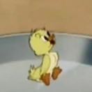 TiColin