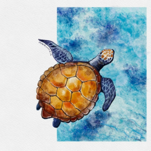 Vol.17【海龟汤】哒.哒..哒...咚咚咚！哗啦啦！哒...哒..哒.我找到你咯