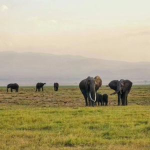 播客E24：入学前准备