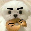 Jinggg_7