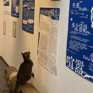 Vol.02 当讨厌做家务的人，拥有一间自己的房间