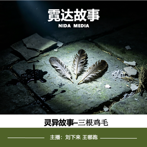 43. 小镇奇谈之三根鸡毛