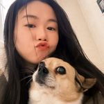 洪泽湖高高的蔬菜