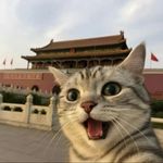 盘踞于海拉鲁大陆的林克