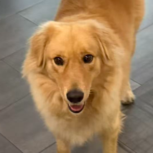 Vol02.我和我亲爱的原生家庭