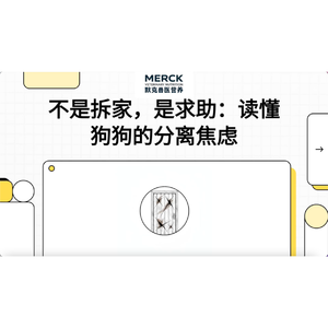 啥？狗狗拆家是分离焦虑？