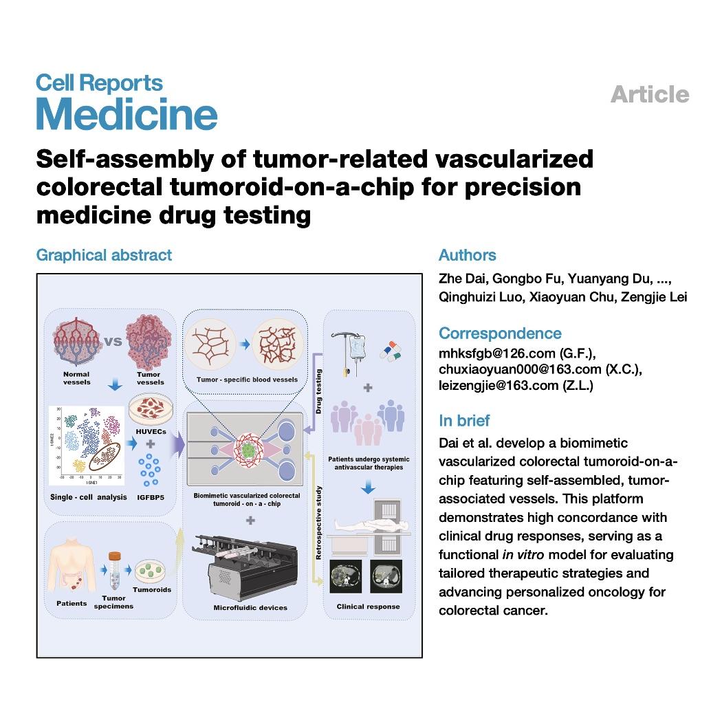 1335-Tumoroid-on-a-Chip for Precision Drug Testing episode artwork