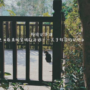 人生因为有了爱的人和理解自己的人，心中便燃起不灭的篝火——慢谈生活杂货铺第1期