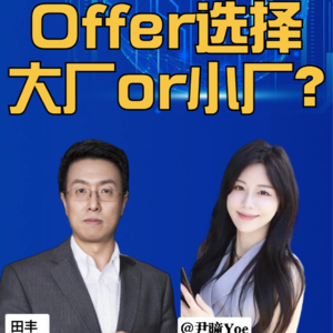 第295集 Offer选择 大厂 or 小厂？
