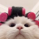 咚咚咚咚咚咚咚咚咚